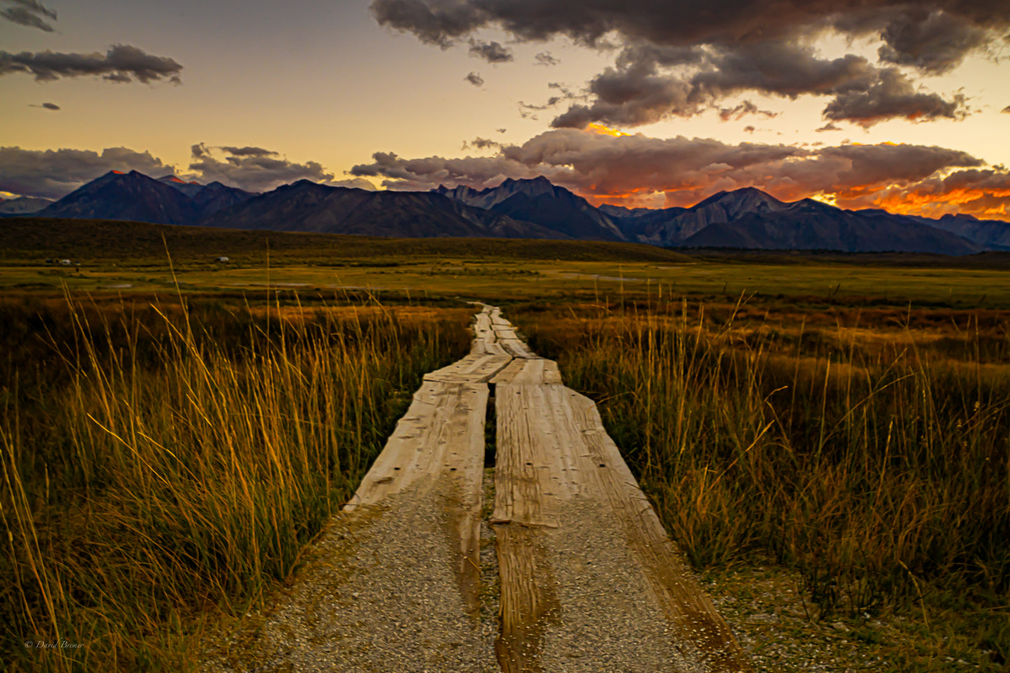 Mammoth at Dusk