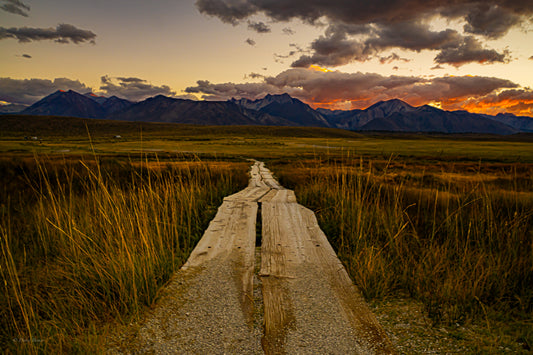 Mammoth at Dusk