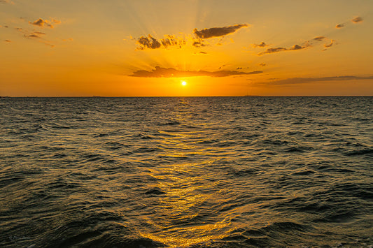 Progreso Sunset